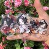 kf S1bd95af909f649bfb75c888b11645a74P - Heaven Official's Blessing Merch